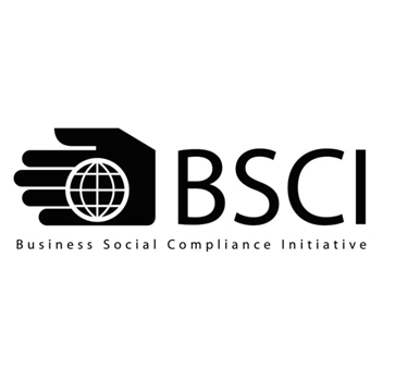 Business Social Compliance lnitiative